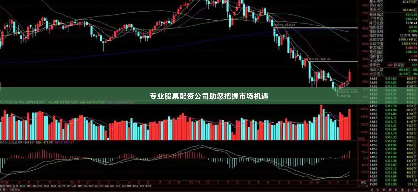 专业股票配资公司助您把握市场机遇