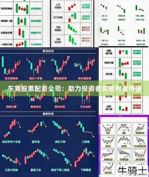 东莞股票配资公司：助力投资者实现财富增值