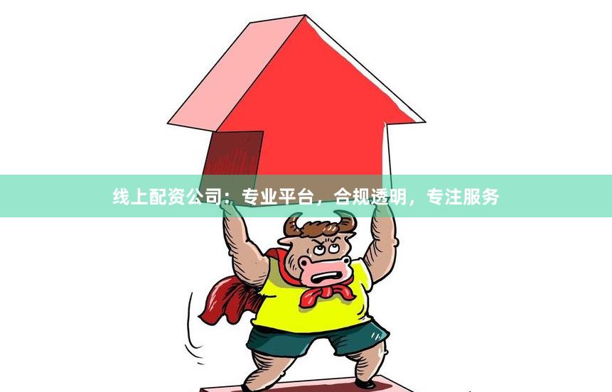 线上配资公司：专业平台，合规透明，专注服务