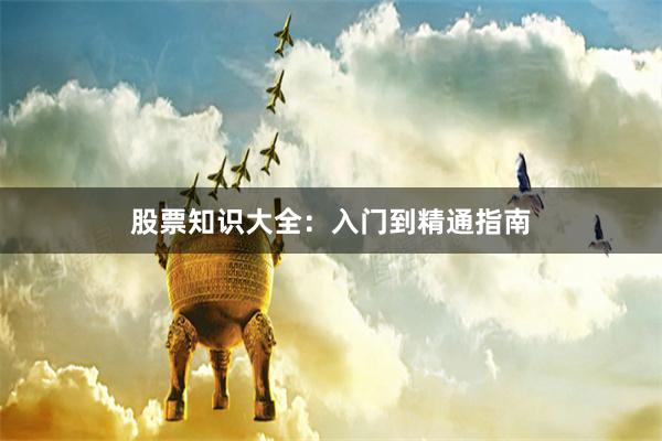 股票知识大全：入门到精通指南