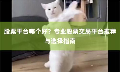 股票平台哪个好？专业股票交易平台推荐与选择指南