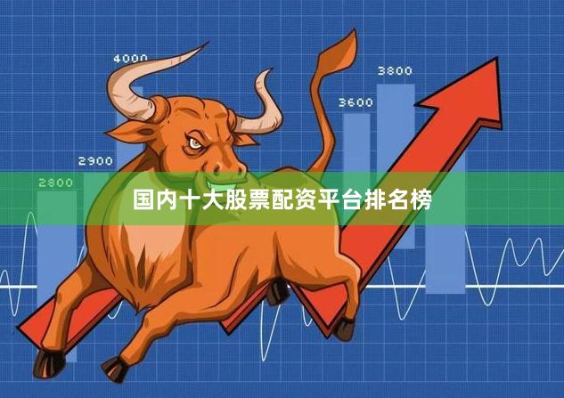 国内十大股票配资平台排名榜